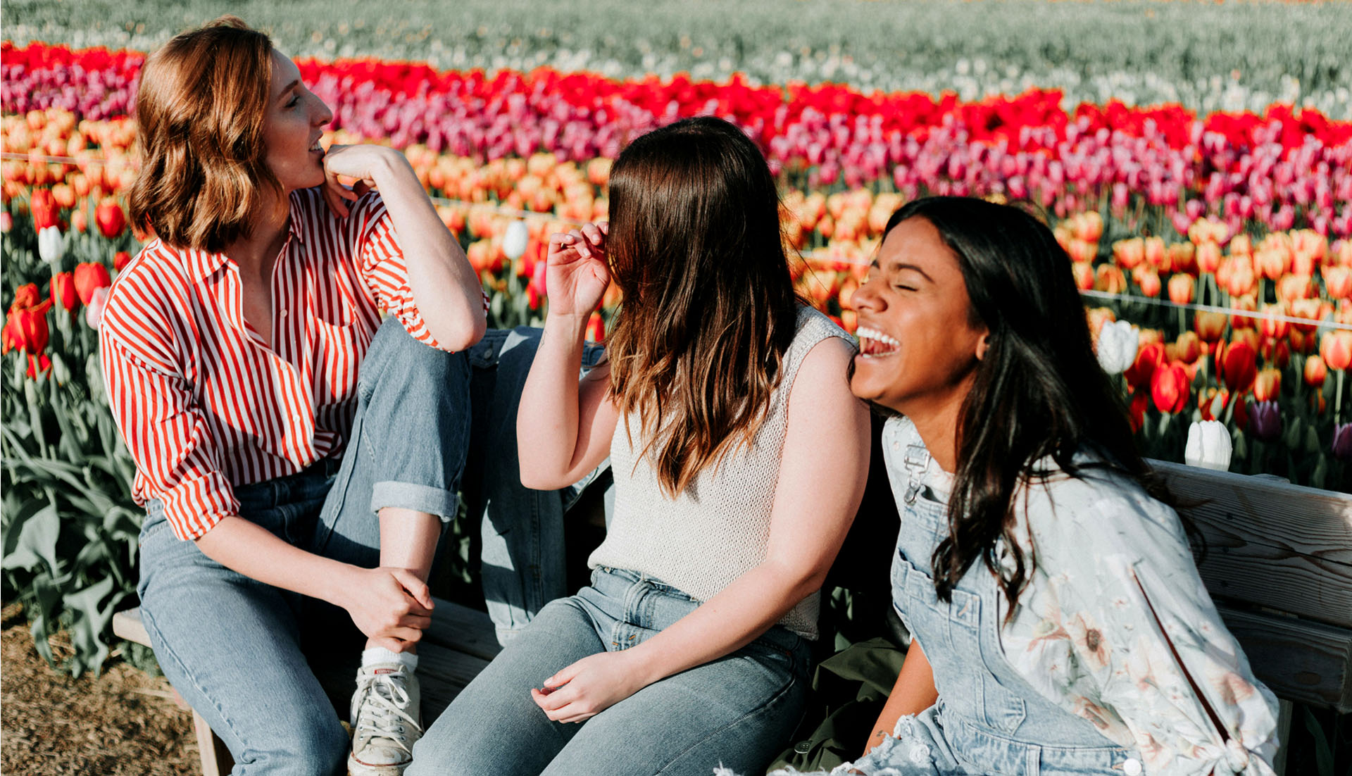 Three women laughing in tulip field